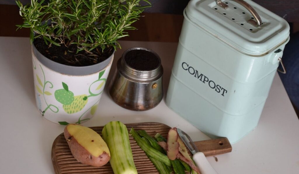 Need a little compost inspo? we’ve (de)composed this list of composting facts that will put you in the mood for composting food… Image by Lenka Dzurendova via Unsplash #compostingfacts #funfactsaboutcomposting #interestingfactsaboutcomposting #importantfactsaboutcomposting #coolfactsaboutcomposting #compostingfactsforkids #sustainablejungle
