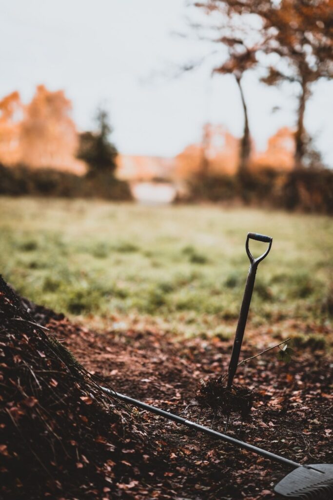 Need a little compost inspo? we’ve (de)composed this list of composting facts that will put you in the mood for composting food… Image by Annie Spratt via Unsplash #compostingfacts #funfactsaboutcomposting #interestingfactsaboutcomposting #importantfactsaboutcomposting #coolfactsaboutcomposting #compostingfactsforkids #sustainablejungle