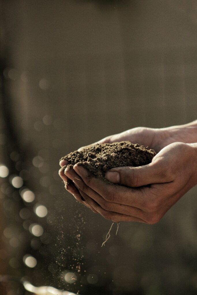 Need a little compost inspo? we’ve (de)composed this list of composting facts that will put you in the mood for composting food… Image by Gabriel Jimenez via Unsplash #compostingfacts #funfactsaboutcomposting #interestingfactsaboutcomposting #importantfactsaboutcomposting #coolfactsaboutcomposting #compostingfactsforkids #sustainablejungle