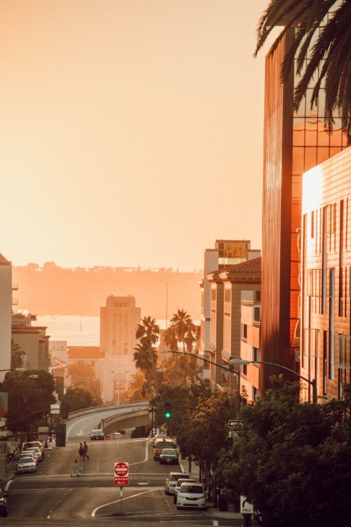 Think your city is one of the greenest cities in the US? These concrete jungles go to show that cities the world over… Image by Lital Levy via Unsplash #greenestcitiesintheUS #whatarethegreenestcitiesintheUS #greenestbigcitiesintheUS #topgreenestcitiesintheUS #greenestcityinAmerica #mostsustainablecitiesintheUS #mostenvironmentallysustainablecitiesintheUS #mostecofriendlycitiesintheUS #sustainablejungle