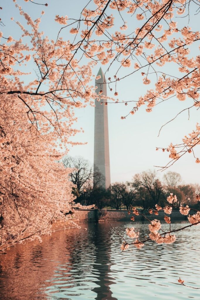 Think your city is one of the greenest cities in the US? These concrete jungles go to show that cities the world over… Image by Eric Dekker via Unsplash #greenestcitiesintheUS #whatarethegreenestcitiesintheUS #greenestbigcitiesintheUS #topgreenestcitiesintheUS #greenestcityinAmerica #mostsustainablecitiesintheUS #mostenvironmentallysustainablecitiesintheUS #mostecofriendlycitiesintheUS #sustainablejungle