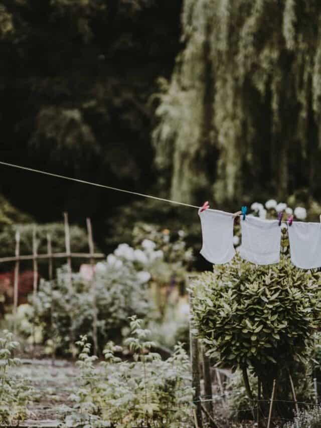 Wondering how to wash cloth nappies without making a mess of it? You’re not alone. It’s a common stumbling block for parents facing the “disposable vs cloth” diaper dilemma. Image by Annie Spratt via Unsplash #howtowashclothnappies #howtowashclothdiapers #sustainablejungle