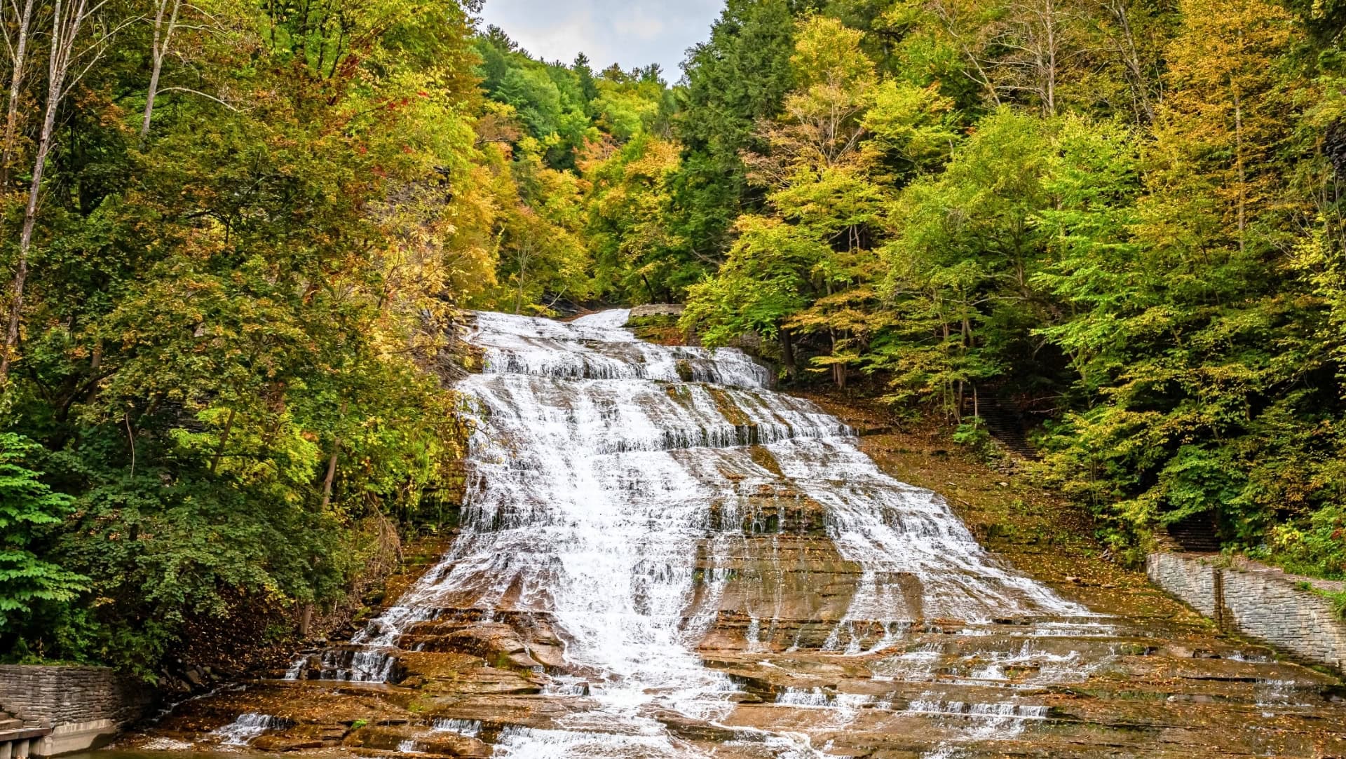 Image by Different_Brian (greenest-citites-in-the-US)