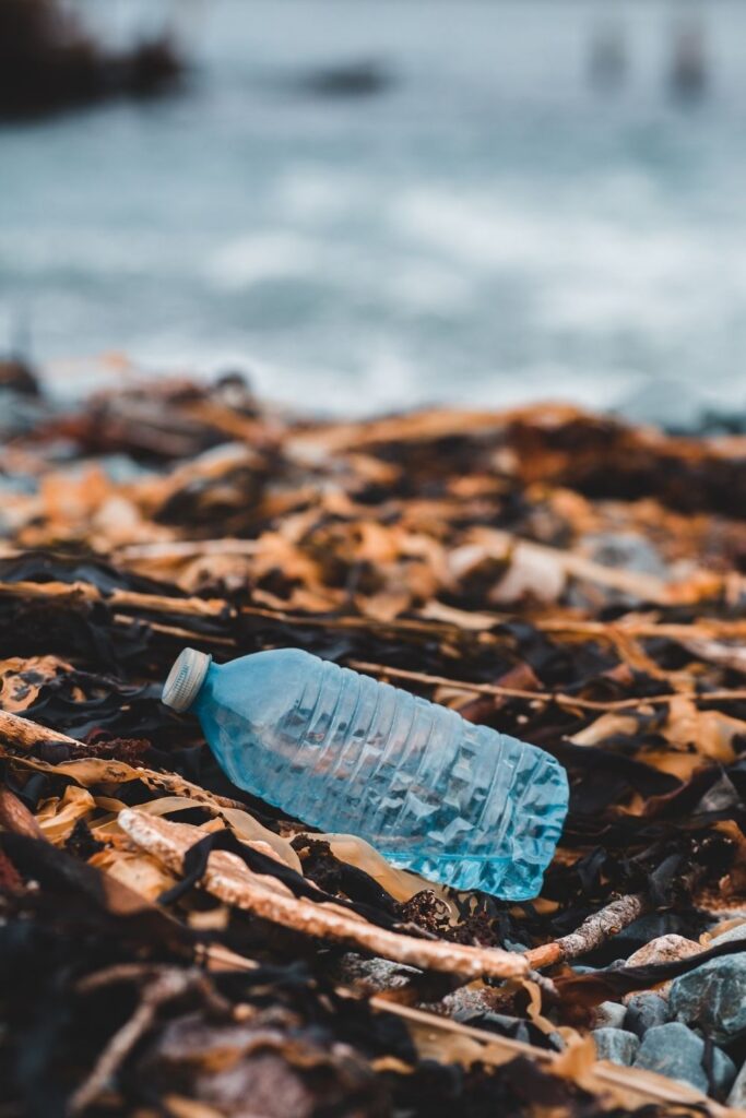 What is silicone, exactly? Is silicone plastic? And if so, is it any better than traditional plastics? Image by Erik McLean via Unsplash #issiliconeplastic #sustainablejungle