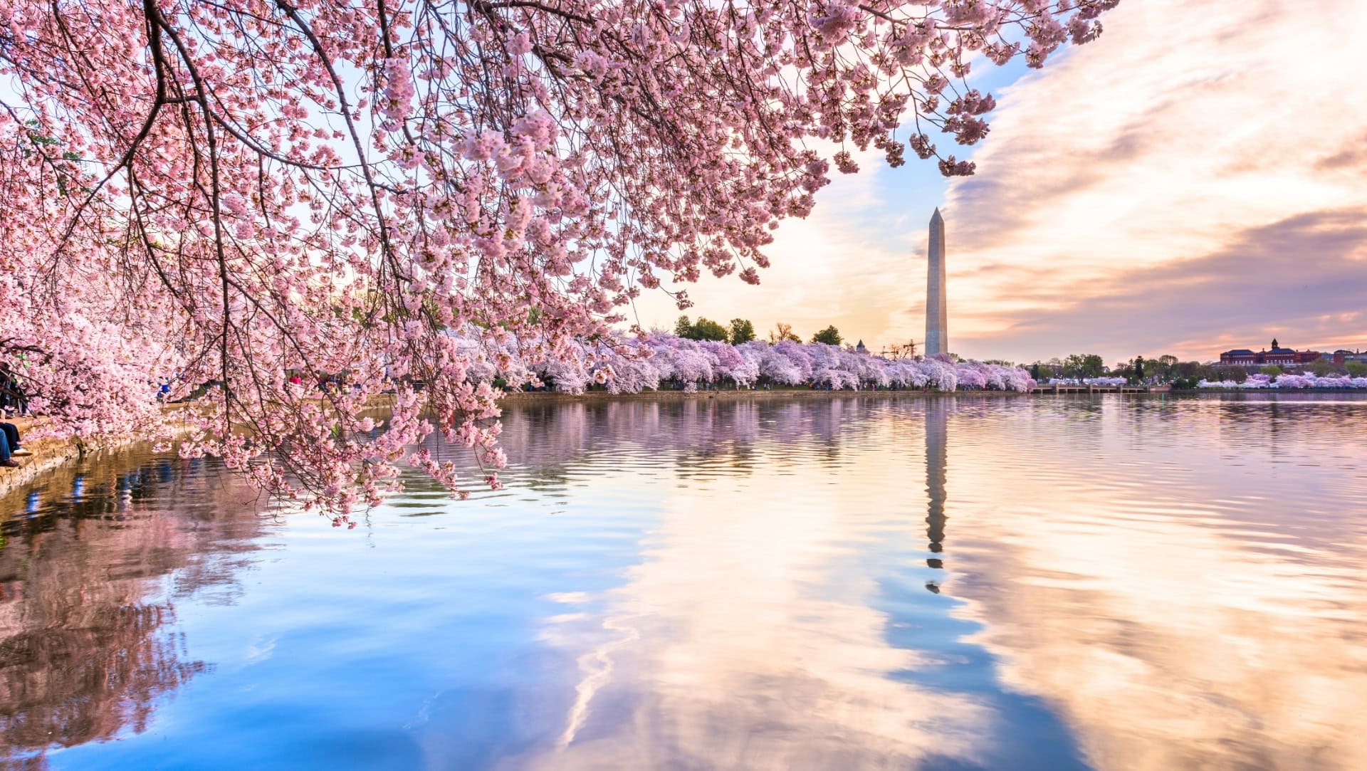 Image by Sean Pavone (greenest-citites-in-the-US)