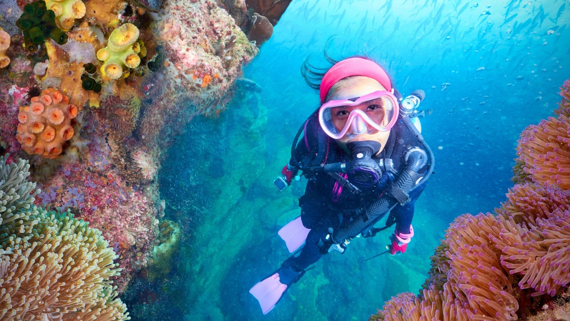 Image by para827 (are-sea-sponges-sustainable-ethical)