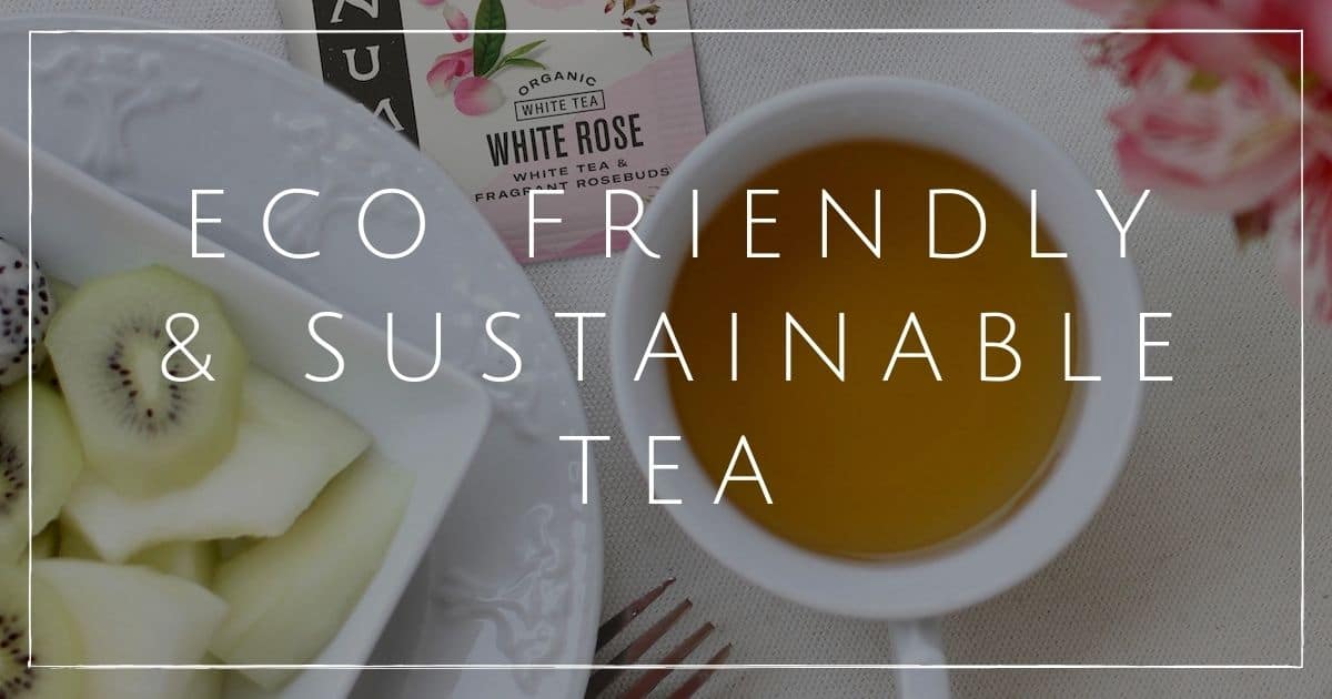 9 Sustainable Tea Brands To Make Your Day Matcha Better