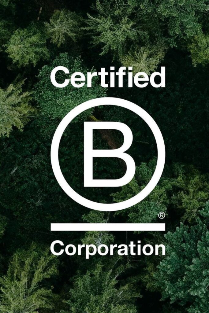 You wouldn't be judged for synonymizing Banks with unethical practices. But the recent rise of B Corp banks is bucking that… Image by Aspiration #BCorpbanks #BCorpbanksinUSA #BCorpbanksinUK #BCorpbanksinAustralia #BCorpbanksinCanada #listofBCorpbanks #bestBCorpbanks #sustainablejungle
