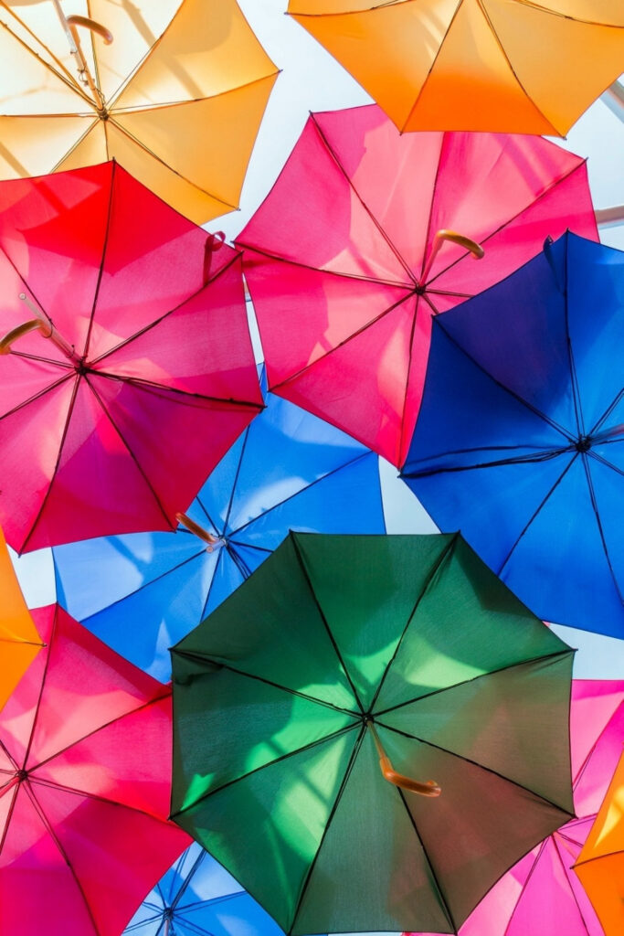 If you’re shopping for an eco -friendly umbrella, we’ve got you covered. Literally.The Ancient Egyptians made history’s first umbrellas with… Image by Jollybrolly #ecofriendlyumbrella #bestecofriendlyumbrella #mostecofriendlyumbrella #sustainableumbrellas #plasticfreeumbrellas