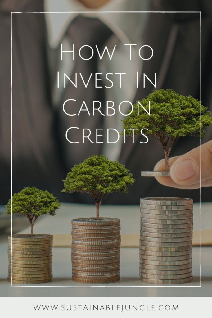 Wondering how to invest in carbon credits (or if you even should)? You’re in good company. Along with carbon offset programs, carbon credits are a hot topic. Image by Arthon Meekodong via Canva Pro #howtoinvestincarboncredits #carboncredits #carbontrading #sustainablejungle
