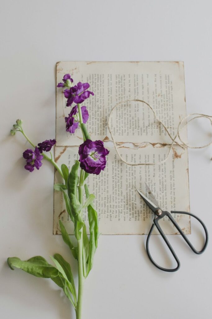 Wondering what to do with old books that are cluttering your shelves? Recycle them? Compost them? Dispose of them… Image by Debby Husdon via Unsplash #whattodowitholdbooks #whattodowitholdhardcoverbooks #whattodowitholdpaperbackbooks #recyclebooks #recycleoldbooks #canbooksberecycled #howtorecycleoldbooks #howtogetridofoldbooks #donateusedbooks #sustainablejungle