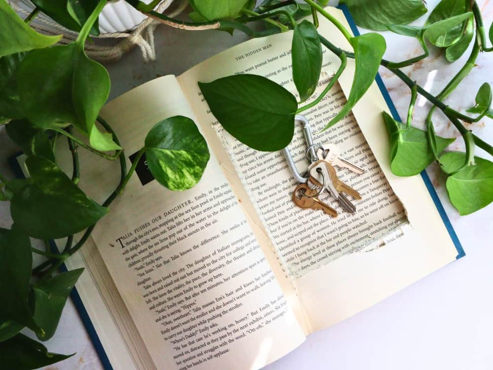 What To Do With Old Books To Treat Yo’ Shelf Sustainably Image by Sustainable Jungle #whattodowitholdbooks #howtodisposeofoldbooks #bookrecycling #bookrecyclingideas #upcyclebooks #whattodowitholdpaperbackbooks #sustainablejungle