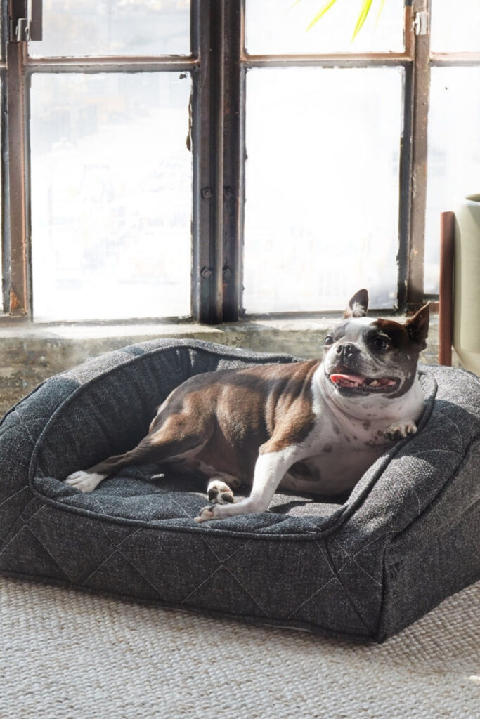 Don’t go barking up the wrong tree next time you come home to the messy fluff strewn about the house. Instead take a look at our list of eco friendly dog beds... Image by Brentwood Home #ecofriendlydogbeds #sustainable jungle