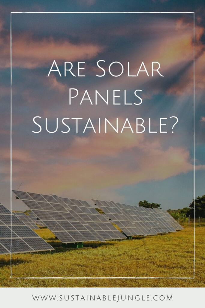 Are solar panels sustainable? On the face of it, they seem like the perfect clean energy solution. But dig a little deeper and the water (err…sky?)... Image by Gagliardi Photography via Canva Pro #aresolarpanelssustainable #whyaresolarpanelssustainable #whyaresolarpanelsnotsustainable #aresolarpanelsenvironmentallyfriendly #howenvironmentallyfriendlyaresolarpanels #aresolarpanelsecofriendly #sustainablejungle