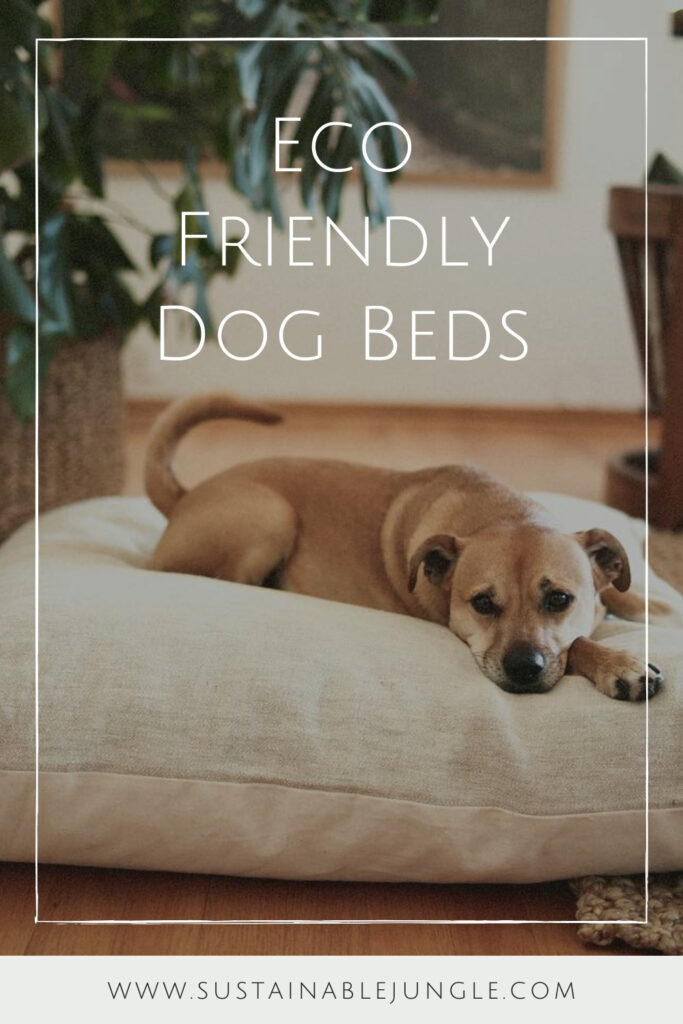 Don’t go barking up the wrong tree next time you come home to the messy fluff strewn about the house. Instead take a look at our list of eco friendly dog beds... Image by All Walks #ecofriendlydogbeds #sustainable jungle