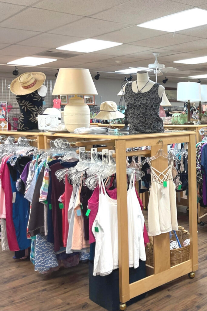Hot weather, cacti, Camelback Mountain…the thrift stores in Phoenix are the sustainable oasis in the desert metropolis filled with… Image by Assistance League of Phoenix #thriftstoresphoenix #bestthriftstoresphoenix #phoenixthriftstores #thriftstoresinphoenix #bestthriftstoresinphoenix #sustainablejungle