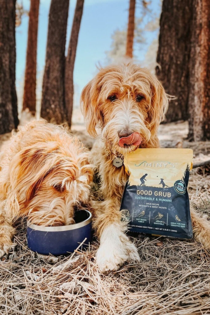 Attention all conscious pet owners: you can help change the world, one sustainable kibble at a time with these eco friendly dog food options. Image by Jiminy's #ecofriendlydogfood #sustainabledogfood #sustainablejungle