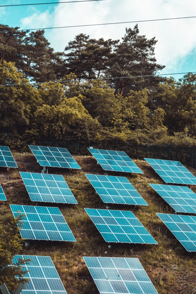 Are solar panels sustainable? On the face of it, they seem like the perfect clean energy solution. But dig a little deeper and the water (err…sky?)... Image by Moritz Kindler via Unsplash #aresolarpanelssustainable #whyaresolarpanelssustainable #whyaresolarpanelsnotsustainable #aresolarpanelsenvironmentallyfriendly #howenvironmentallyfriendlyaresolarpanels #aresolarpanelsecofriendly #sustainablejungle