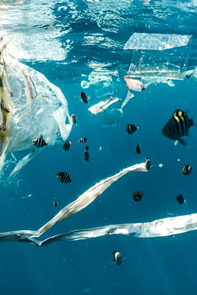 What is PVA and, more specifically, how sustainable is PVA? We take a look at this innocuous compound to find out if it's as eco friendly as… Image by Naja Bertolt Jensen via Unsplash #whatisPVA #whatisPVAinlaundrydetergent #PVAenvironmentalimpact #isPVAsustainable #sustainablepolyvinylalcohol #sustainablejungle