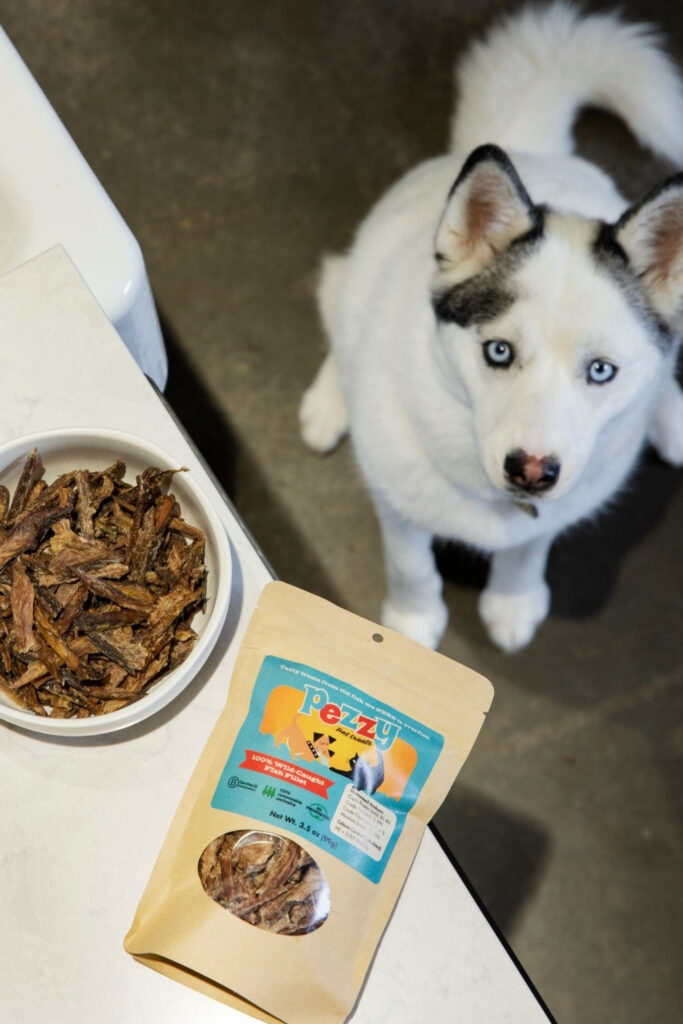 Attention all conscious pet owners: you can help change the world, one sustainable kibble at a time with these eco friendly dog food options.  Image by Pezzy #ecofriendlydogfood #sustainabledogfood #sustainablejungle