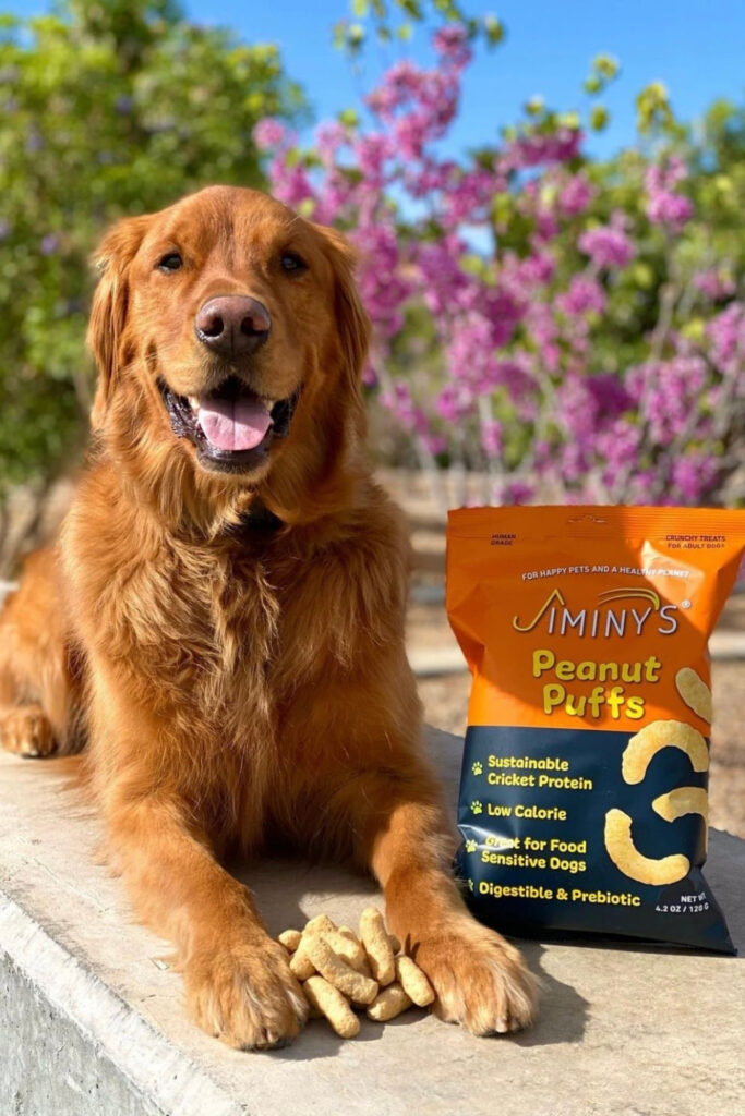 Attention all conscious pet owners: you can help change the world, one sustainable kibble at a time with these eco friendly dog food options. Image by Jiminy's #ecofriendlydogfood #sustainabledogfood #sustainablejungle