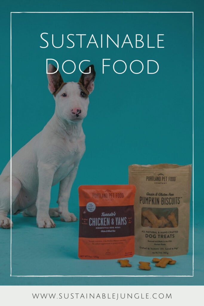 Attention all conscious pet owners: you can help change the world, one sustainable kibble at a time with these eco friendly dog food options. Image by Portland Pet Food Company #ecofriendlydogfood #sustainabledogfood #sustainablejungle