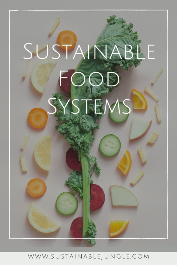 To take a bite out of inequality, health crises, climate change, and ecological destruction, we need sustainable food systems. Let’s take a look at how these better systems work and why they’re so important. Image by Dose Juice via Unsplash #sustainablefoodsystems #sustainablefood #sustainablejungle