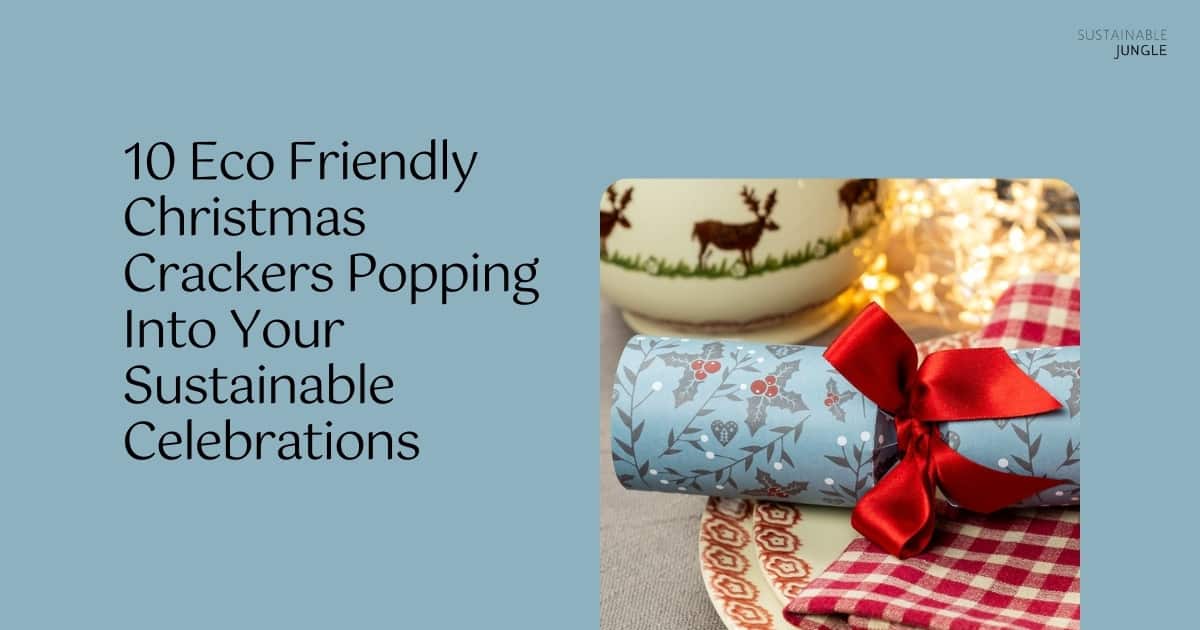 9 EcoFriendly Christmas Crackers Popping Into Your Sustainable