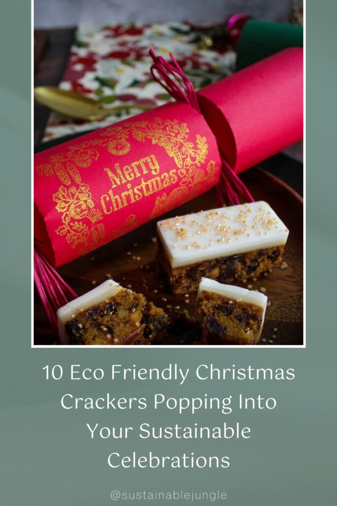 9 EcoFriendly Christmas Crackers Popping Into Your Sustainable