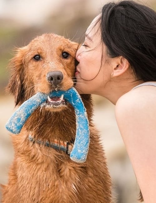 9 Eco Friendly Pet Products That Are Paw-sitivly Impactful #ecofriendlypetproducts #bestecofriendlypetproducts #ecofriendlypetcleaningproducts #ecofriendlypetproductbrands #sustainablepetproducts #bestsustainablepetproducts #sustainabledogproducts #ecofriendlydogproducts #sustainablejungle Image by West Paw