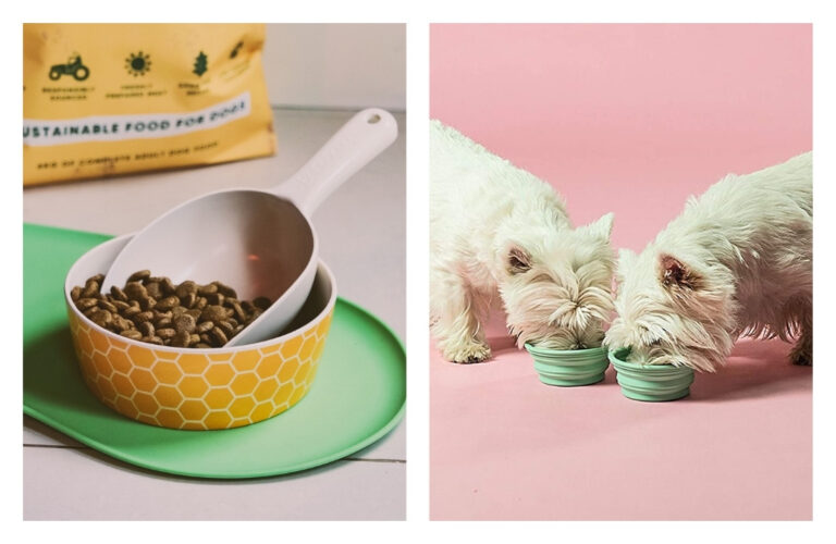 9 Eco Friendly Pet Products That Are PawSitivly Impactful