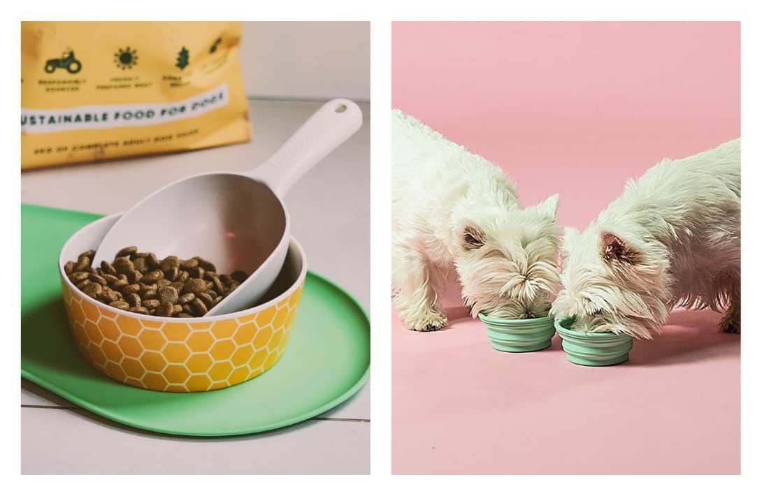 9 Eco Friendly Pet Products That Are Paw-sitivly Impactful #ecofriendlypetproducts #bestecofriendlypetproducts #ecofriendlypetcleaningproducts #ecofriendlypetproductbrands #sustainablepetproducts #bestsustainablepetproducts #sustainabledogproducts #ecofriendlydogproducts #sustainablejungle Images by Beco Pets and HEVEA