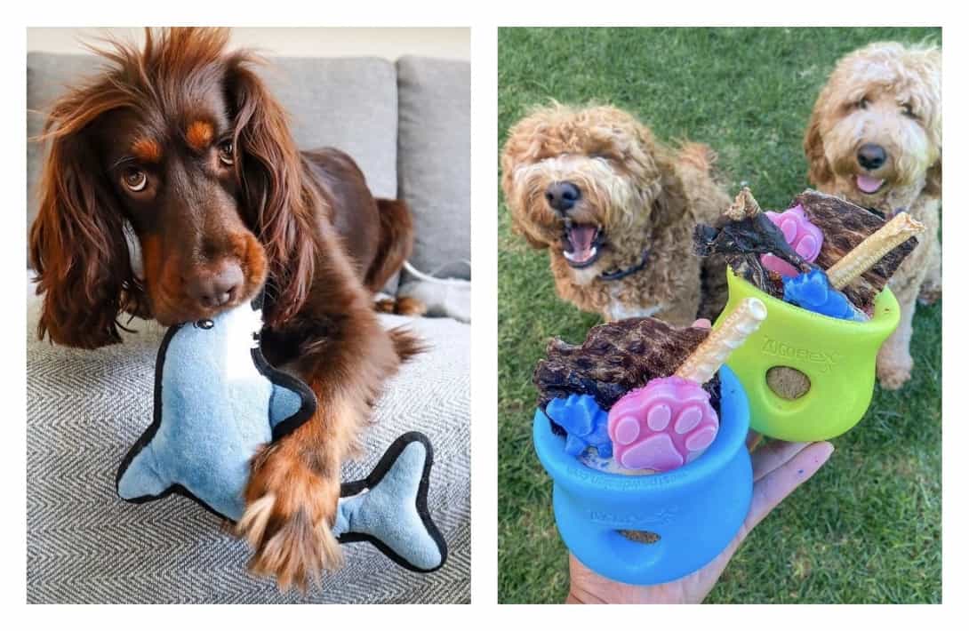 9 Eco Friendly Pet Products That Are Paw-sitivly Impactful #ecofriendlypetproducts #bestecofriendlypetproducts #ecofriendlypetcleaningproducts #ecofriendlypetproductbrands #sustainablepetproducts #bestsustainablepetproducts #sustainabledogproducts #ecofriendlydogproducts #sustainablejungle Images by Beco Pets and West Paw
