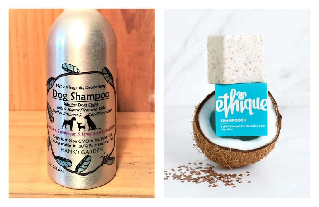 9 Eco Friendly Pet Products That Are Paw-sitivly Impactful #ecofriendlypetproducts #bestecofriendlypetproducts #ecofriendlypetcleaningproducts #ecofriendlypetproductbrands #sustainablepetproducts #bestsustainablepetproducts #sustainabledogproducts #ecofriendlydogproducts #sustainablejungle Images by Hank's Garden and Ethique