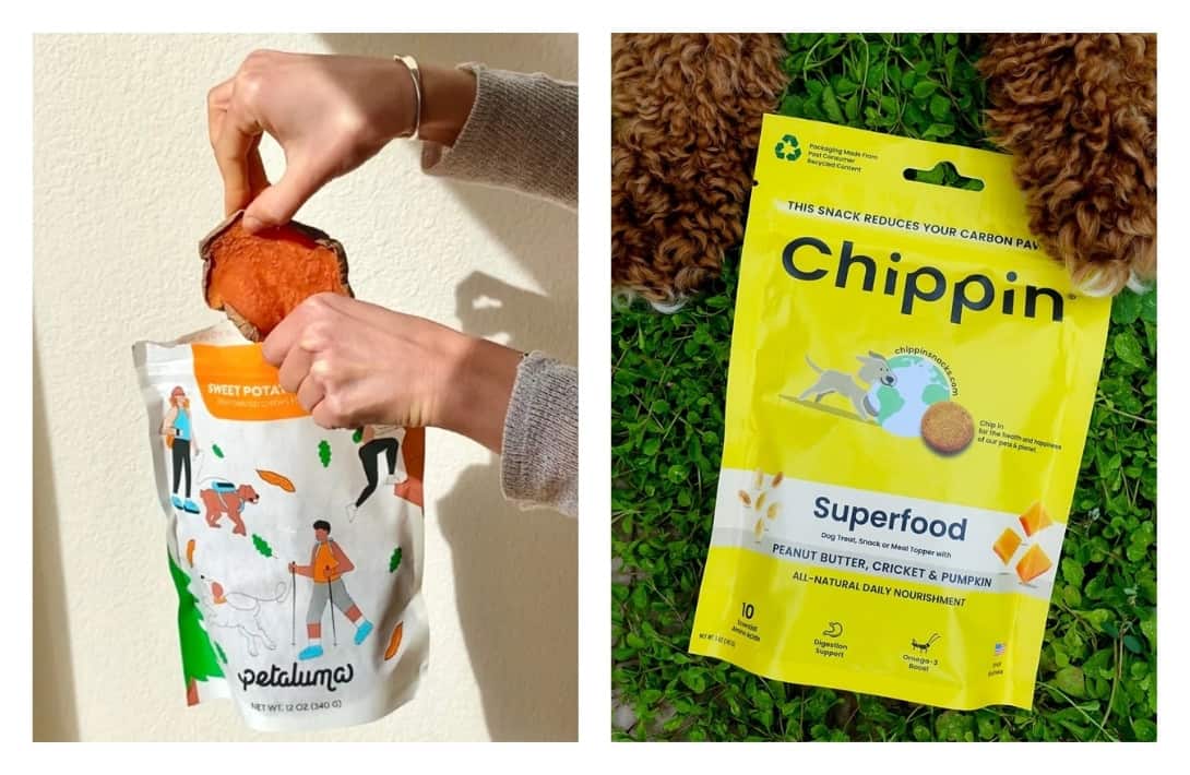 9 Eco Friendly Pet Products That Are Paw-sitivly Impactful #ecofriendlypetproducts #bestecofriendlypetproducts #ecofriendlypetcleaningproducts #ecofriendlypetproductbrands #sustainablepetproducts #bestsustainablepetproducts #sustainabledogproducts #ecofriendlydogproducts #sustainablejungle Images by Petaluma and Chippin