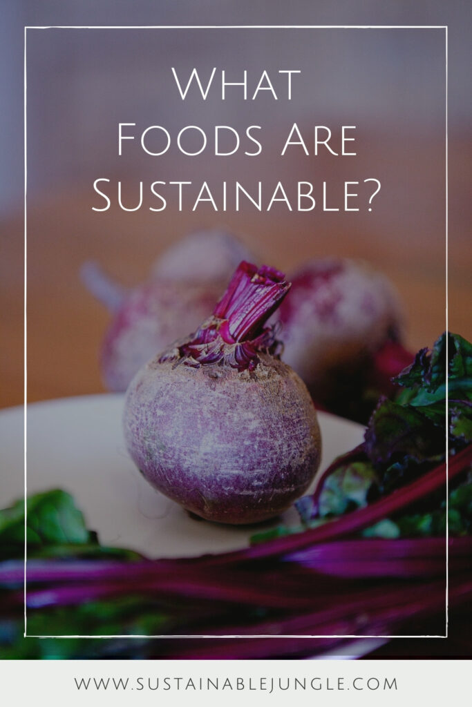 Hungry for the most planet-positive plate but not sure what foods are sustainable? You can satisfy our planet’s cravings (and your own) by asking... Image by Natalia Fogarty via Unsplash #whatfoodsaresustainable? #whatfoodsarethemostsustainable? #whataresomesustainablefoods? #whataretheleastsustainablefoods? #ecofriendlyfood #mostecofriendlyfoods #sustainablejungle