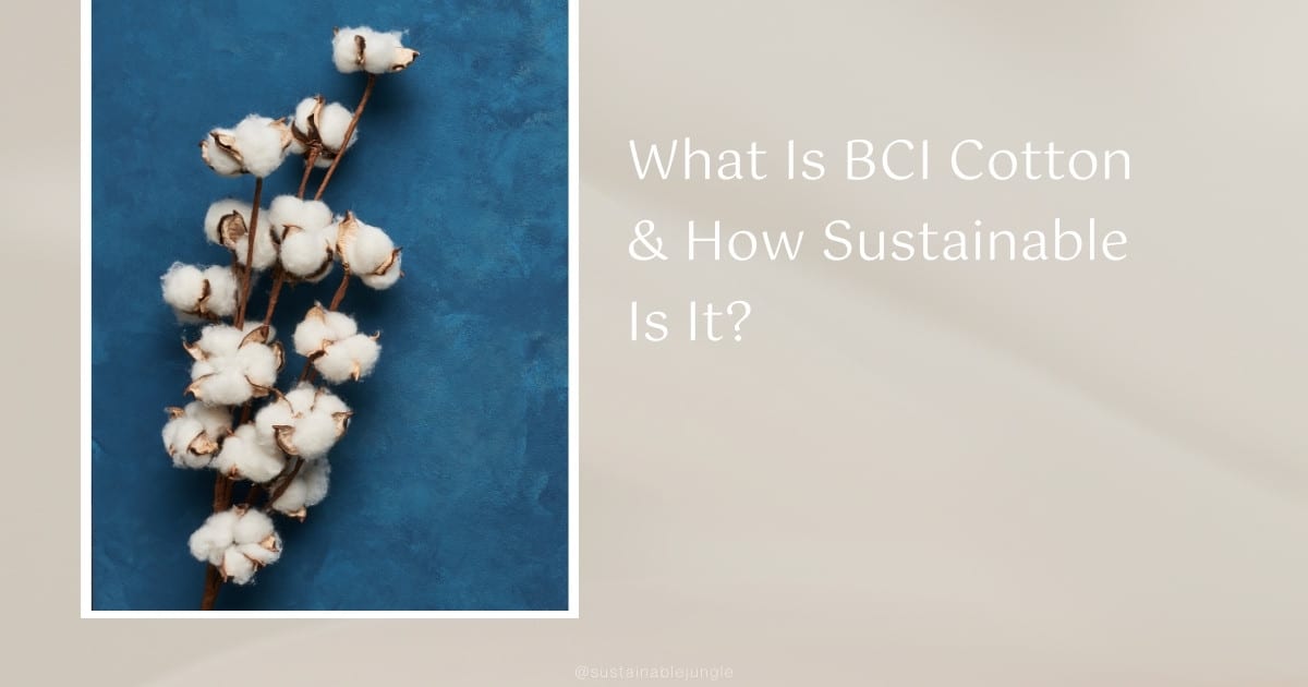 What Is BCI Cotton & How Sustainable Is It?
