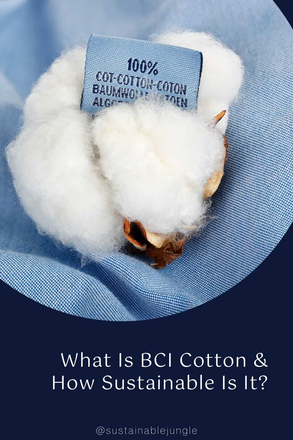 What Is BCI Cotton & How Sustainable Is It? #whatisbcicotton #whatisthebcicottonstandard #isbcicottonsustainable #isbcicottonethical #howsustainableisbcicotton #howethicalisbcicotton #bcicottonvsorganiccotton #sustainablejungle Image by ConstantinosZ via Getty Images on Canva Pro