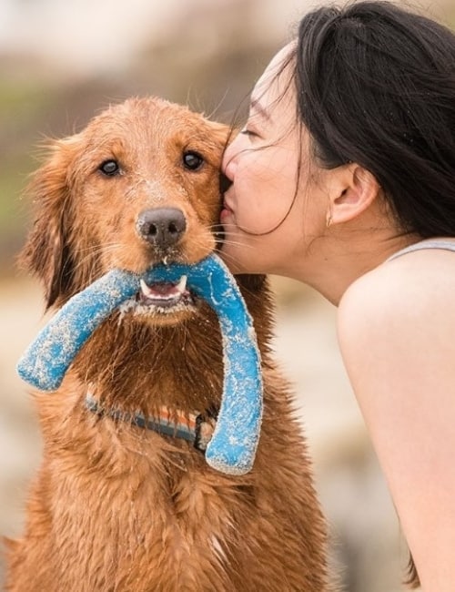 9 Eco Friendly Pet Products That Are Paw-sitivly Impactful #ecofriendlypetproducts #bestecofriendlypetproducts #ecofriendlypetcleaningproducts #ecofriendlypetproductbrands #sustainablepetproducts #bestsustainablepetproducts #sustainabledogproducts #ecofriendlydogproducts #sustainablejungle Image by West Paw
