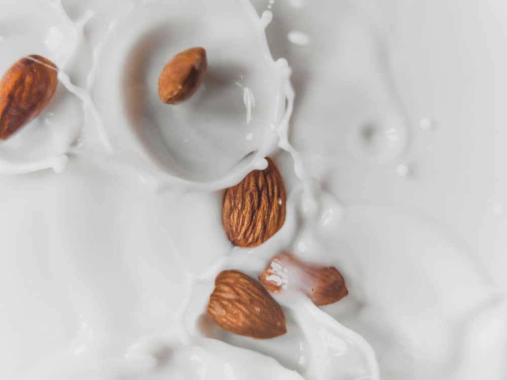 What Is The Most Sustainable Milk Alternative? #mostsustainablemilk #mostsustainablemilkalternatives #whatisthemostsustainablemilk? #mostsustainableplantmilk #mostsustainableveganmilk #bestsustainablemilkalternative #mostenvironmentallyfriendlymilk #bestecofriendlymilk #mostethicalmilk #sustainablejungle Image by Austin Wilcox via Unsplash