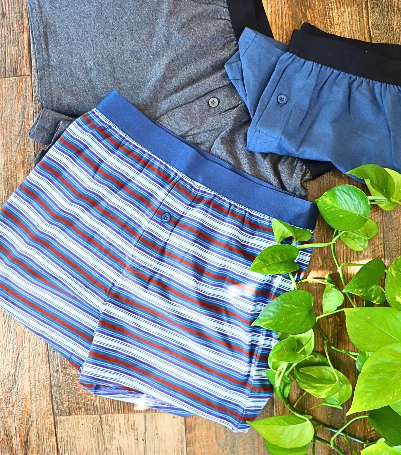 Image by Sustainable Jungle (Pact) (Sustainable-Men's-Underwear-2024)