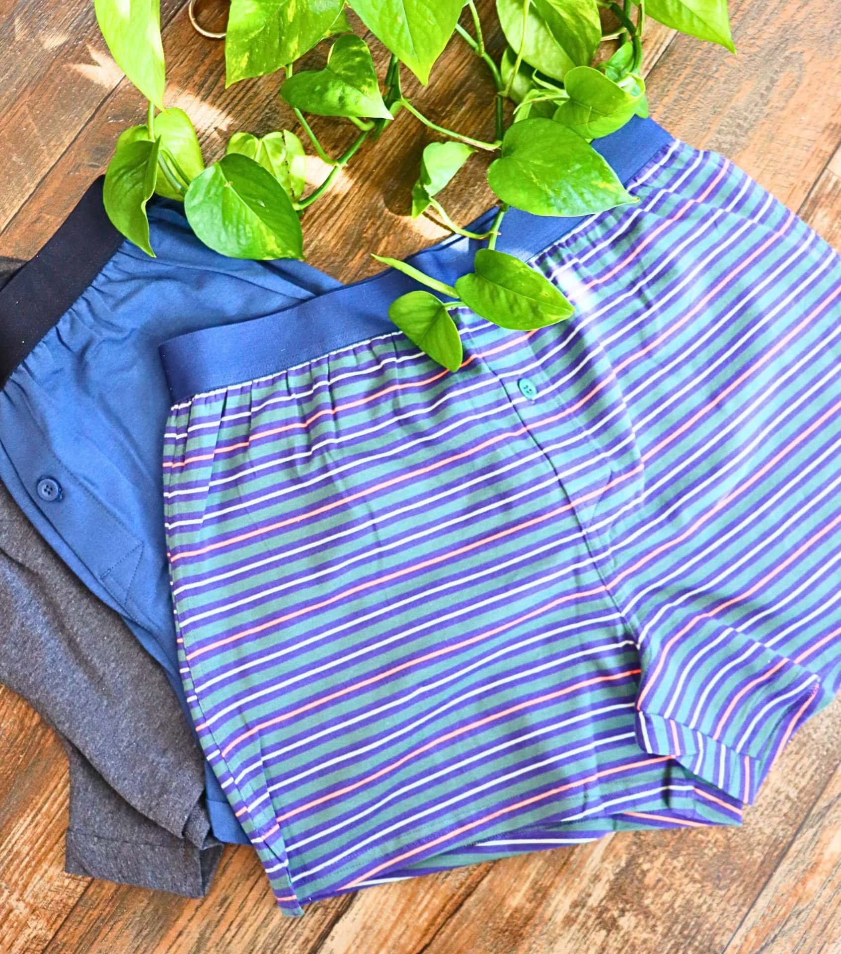 Image by Sustainable Jungle (Pact) (Sustainable-Men's-Underwear-2024)