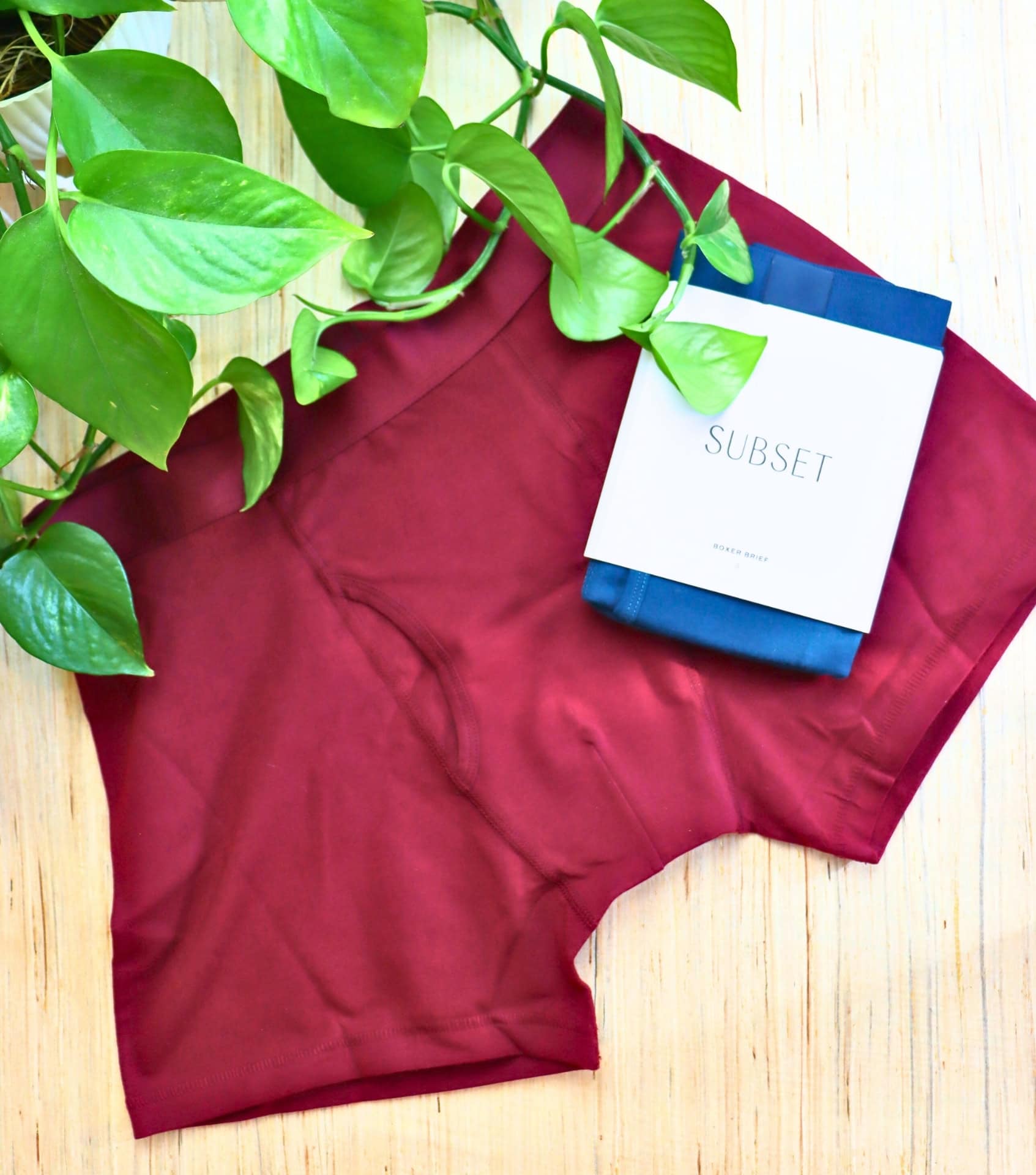 Image by Subset (Sustainable-Men's-Underwear-2024)