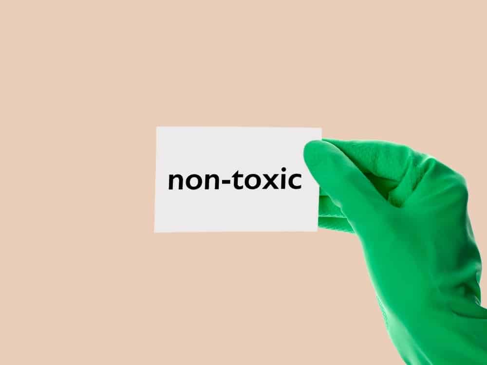 What Does Non Toxic Mean? #whatdoesnontoxicmean? #whatdoesitmeanwhensomethingisnontoxic? #whatisnontoxic? #nontoxicvsorganic #whatmakesaproductnontoxic? #definenontoxic #nontoxicdefinition #sustainablejungle Image by ozgurkeser via Getty Images on Canva Pro