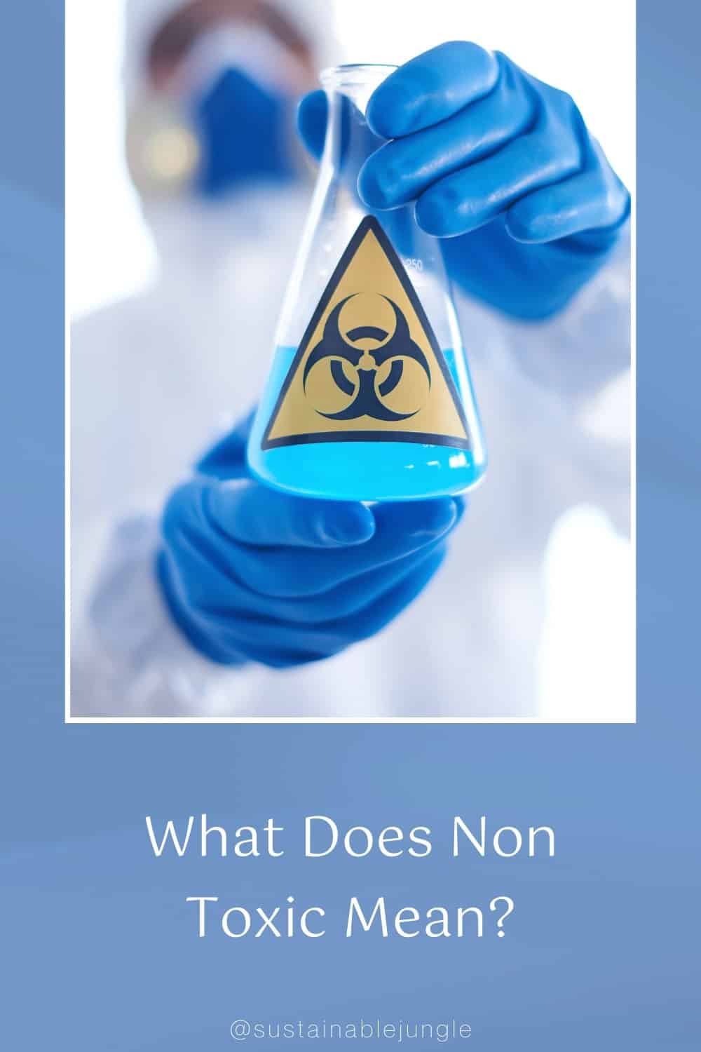 What Does Non Toxic Mean? #whatdoesnontoxicmean? #whatdoesitmeanwhensomethingisnontoxic? #whatisnontoxic? #nontoxicvsorganic #whatmakesaproductnontoxic? #definenontoxic #nontoxicdefinition #sustainablejungle Image by shironosov via Getty Images on Canva Pro