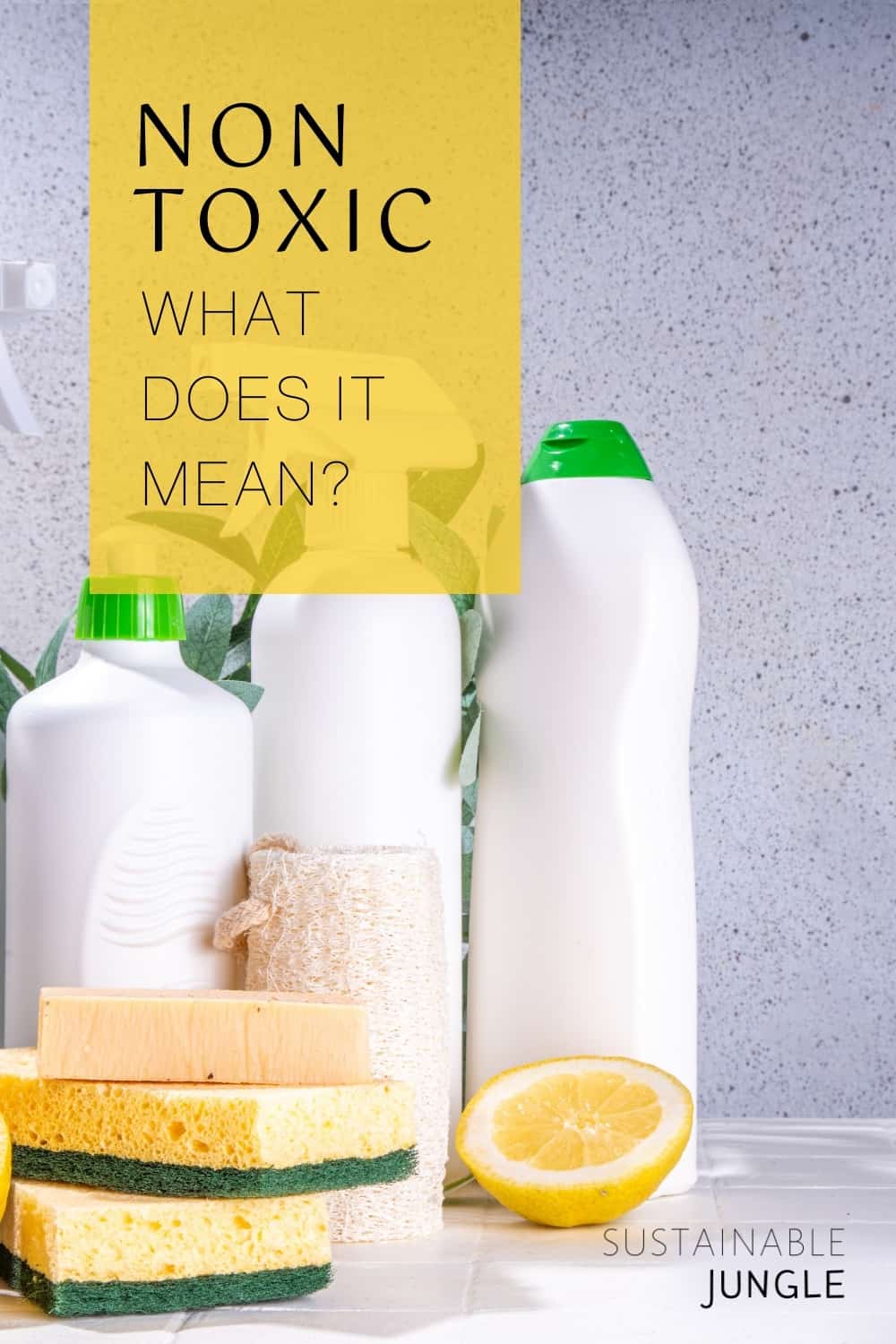 What Does Non Toxic Mean? #whatdoesnontoxicmean? #whatdoesitmeanwhensomethingisnontoxic? #whatisnontoxic? #nontoxicvsorganic #whatmakesaproductnontoxic? #definenontoxic #nontoxicdefinition #sustainablejungle Image by rimmabondarenko via Canva Pro