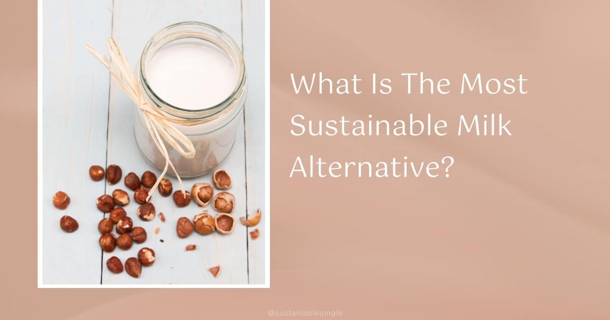What Is The Most Sustainable Milk Alternative?