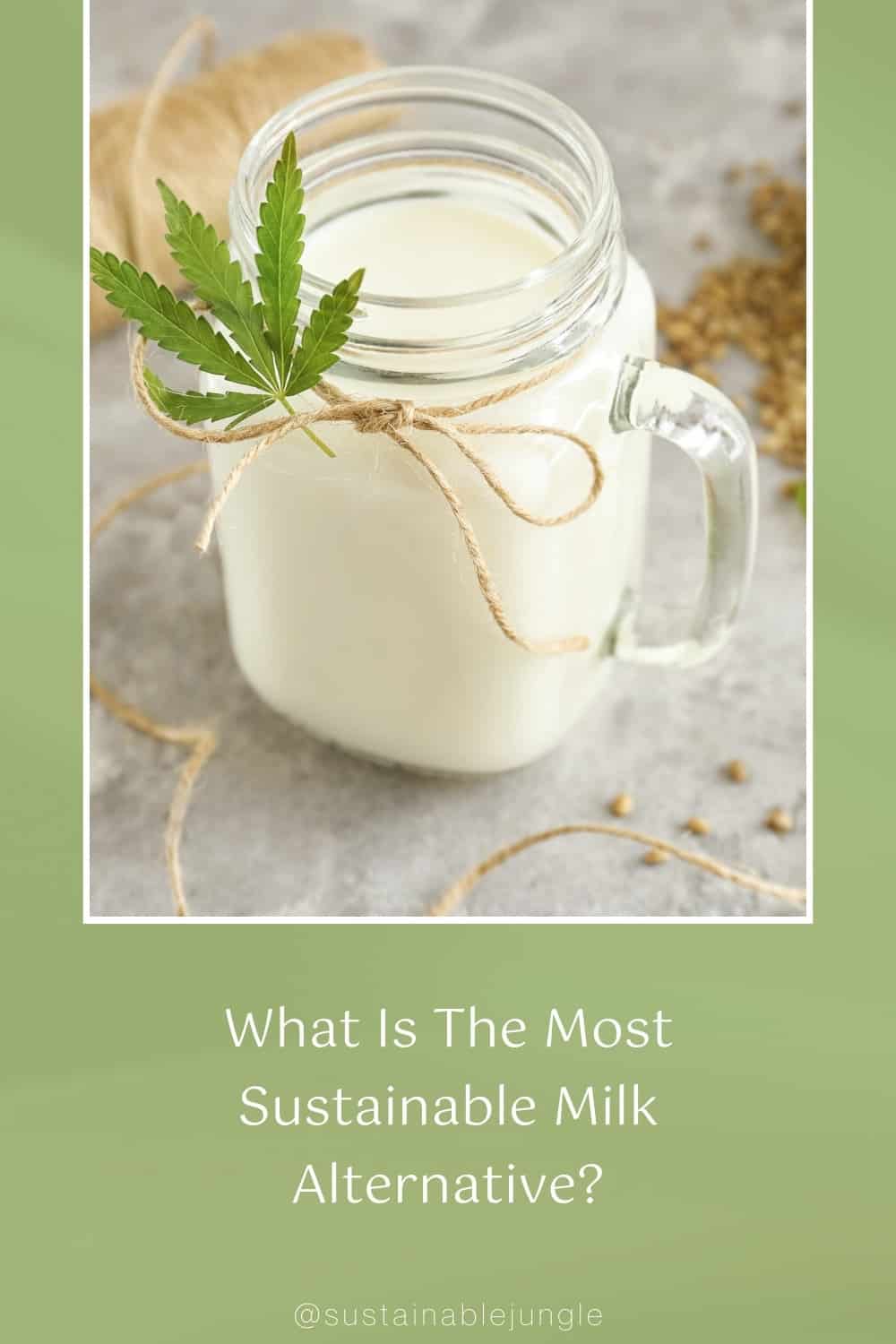 What Is The Most Sustainable Milk Alternative? #mostsustainablemilk #mostsustainablemilkalternatives #whatisthemostsustainablemilk? #mostsustainableplantmilk #mostsustainableveganmilk #bestsustainablemilkalternative #mostenvironmentallyfriendlymilk #bestecofriendlymilk #mostethicalmilk #sustainablejungle Image by pixelshot via Canva Pro