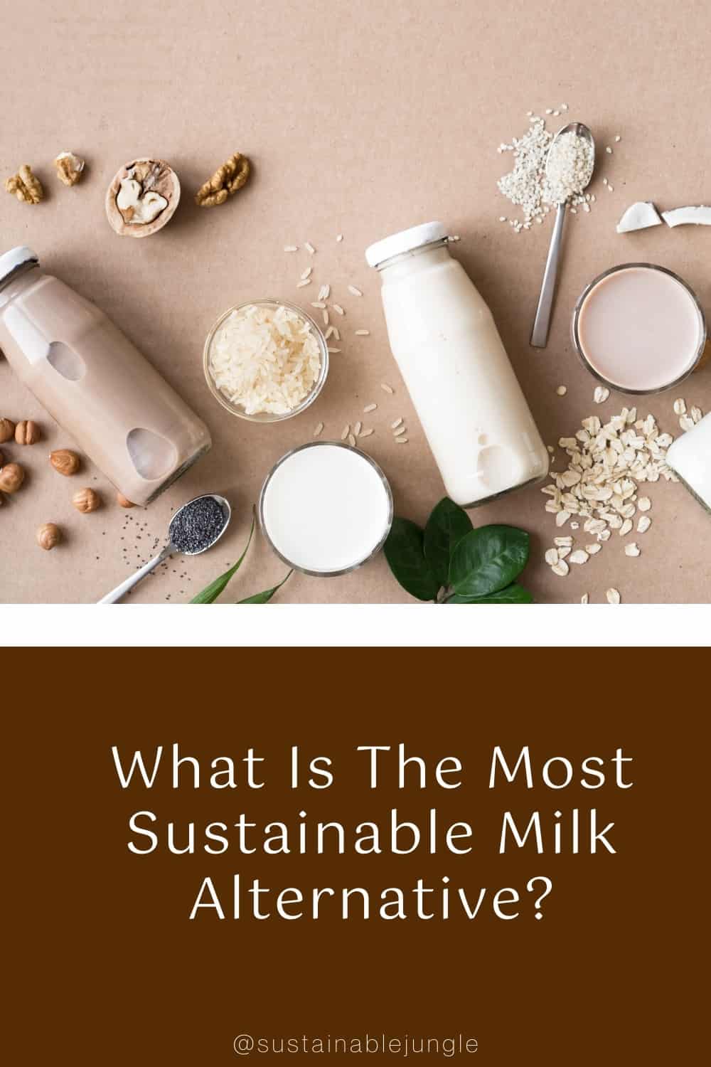 What Is The Most Sustainable Milk Alternative? #mostsustainablemilk #mostsustainablemilkalternatives #whatisthemostsustainablemilk? #mostsustainableplantmilk #mostsustainableveganmilk #bestsustainablemilkalternative #mostenvironmentallyfriendlymilk #bestecofriendlymilk #mostethicalmilk #sustainablejungle Image by Mizina via Getty Images on Canva Pro