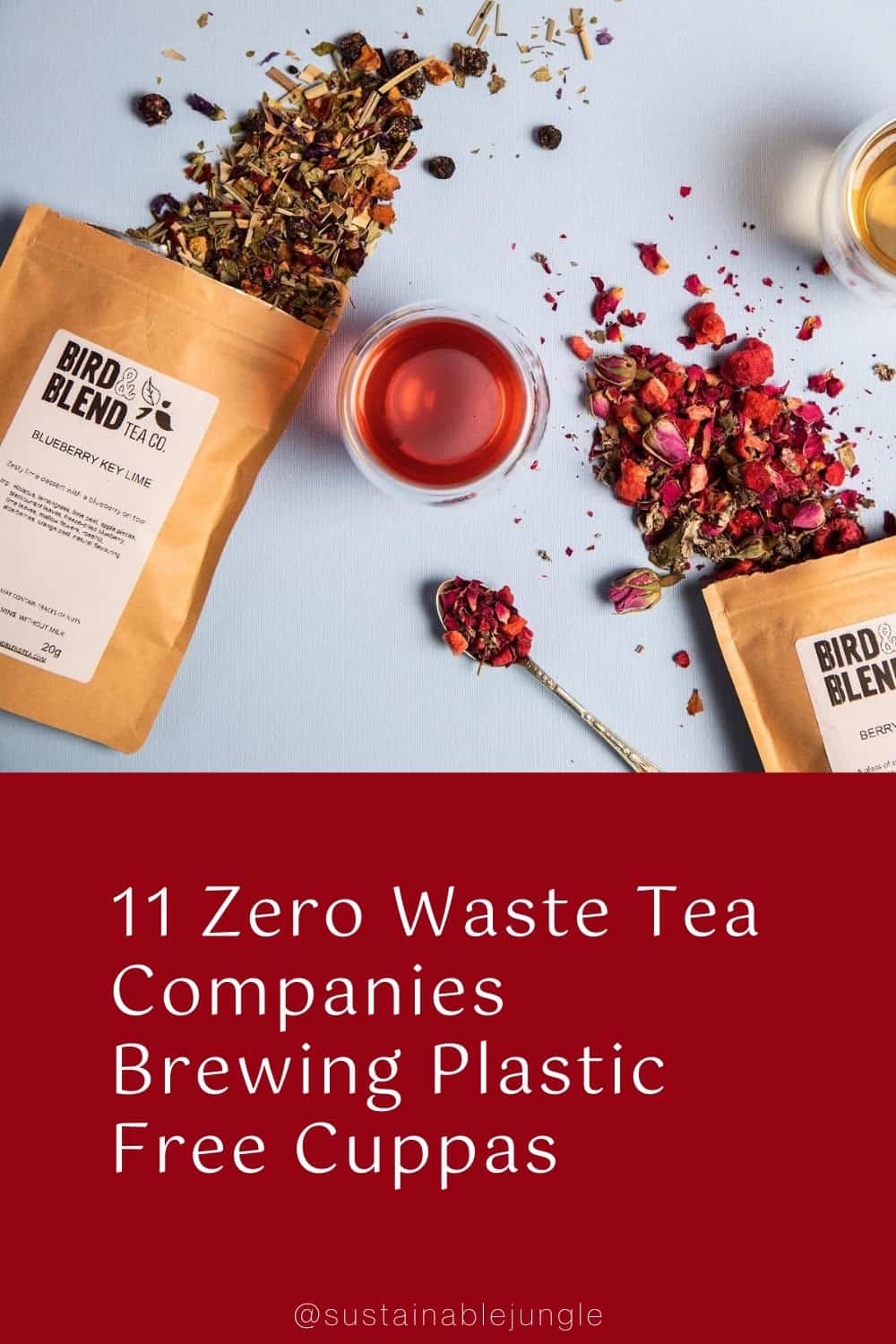 11 Zero Waste Tea Companies Brewing Plastic Free Cuppas #zerowastetea #zerowasteteacompanies #zerowasteteabrands #zerowasteteabags #zerowasteteapackaging #bestzerowastetea #zerowastetealeaves #sustainablejungle Image by Bird & Blend Tea Co.